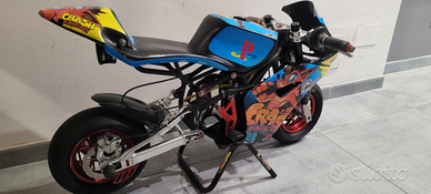 Minimoto DM 2024