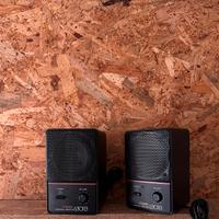 Coppia casse Fostex 6301 B