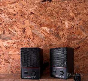 Coppia casse Fostex 6301 B