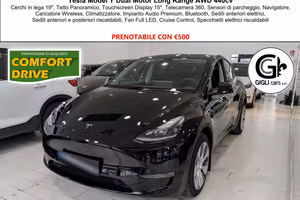 Tesla Model Y 440 cv Long Range Dual Motor Tetto C