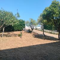 A soli 30 metri dal mare