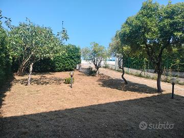 A soli 30 metri dal mare