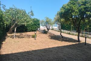 A soli 30 metri dal mare