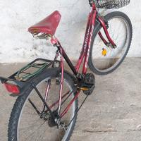 Biciccletta Donna con cambio