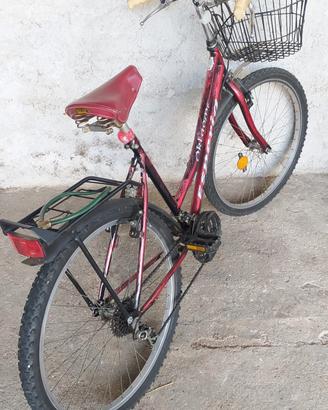 Biciccletta Donna con cambio
