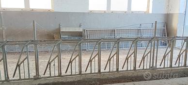 autocatturante ovini e caprini 