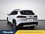 Immagine 8