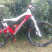 cannondale rush full carbon 