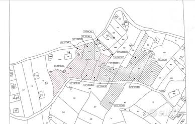 Terreno agricolo via Cavalacci "Molara Palermo