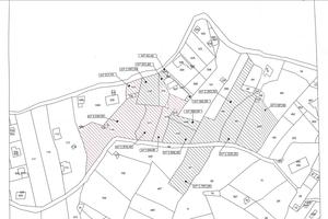 Terreno agricolo via Cavalacci "Molara Palermo