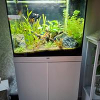 acquario Juwel 120