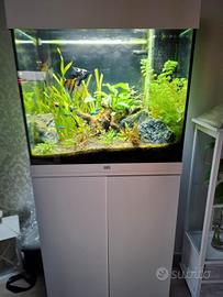 acquario Juwel 120