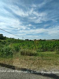 Terreno Agricolo Corbola [A4636VCG]