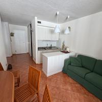 Bilocale direttamente sulle piste