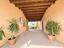 Immagine 9
