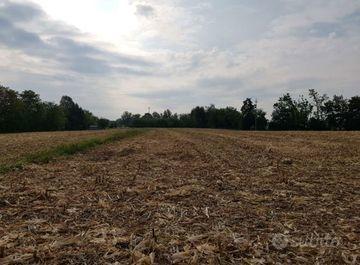 Terreno Agricolo Venafro [VF RTPC1430 - 124VRG]