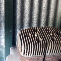 Motore JAWA bicilindrico 350 2T