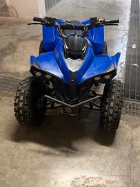 quad benzina 