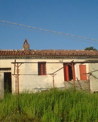 Fabbricato rurale con 10.000 mq di terreno