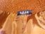 Immagine 4