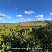 Terreno, Termini Imerese.