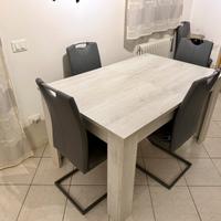 Tavolo da pranzo + 6 sedie