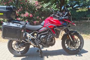 TRIUMPH TIGER GT 900 ACCESSORIATISSIMA