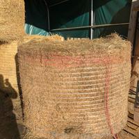 Fieno sfuso o in balloni