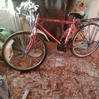 bicicletta vari modelli