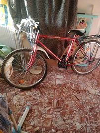 bicicletta vari modelli