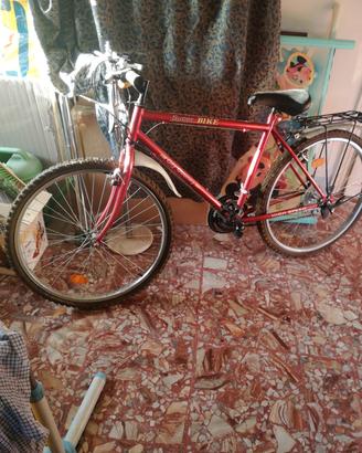 bicicletta vari modelli
