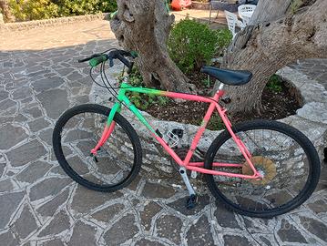 Bici Mountain bike 
