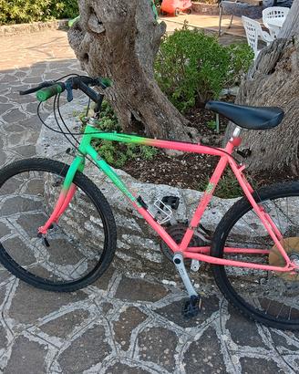 Bici Mountain bike 