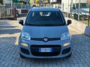 fiat-panda