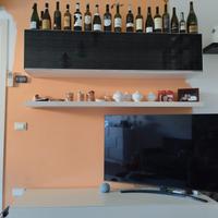 Mobile TV 