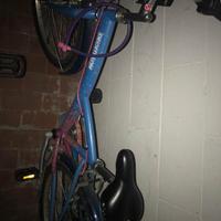 Bicicletta per bambina decathlon