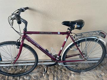 Bicicletta funzionante