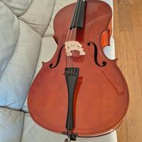 Violoncello 3/4