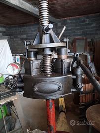 Torchio per uva