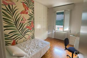 Stanza a Reggio Emilia a studentessa