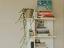 Immagine 19