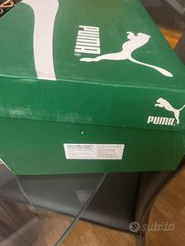 Scaroe puma 42