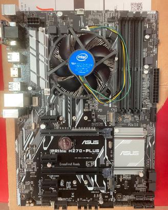 Scheda madre + processore + ventola cpu