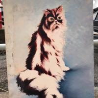 Quadro Barbujani gatto persiano