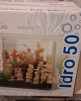 acquario