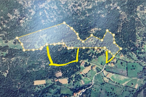 Casetta più terreno