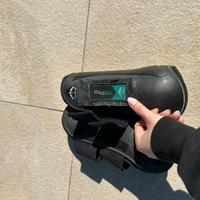 Varie stinchiere anteriori cavallo