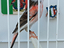 Immagine 3