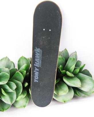 skateboard tony hawk