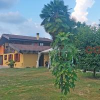 Villa singola Borgomanero [388VRG]